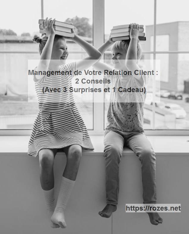 Management De Votre Relation Client : 2 Conseils (Avec 3 Surprises Et 1 ...